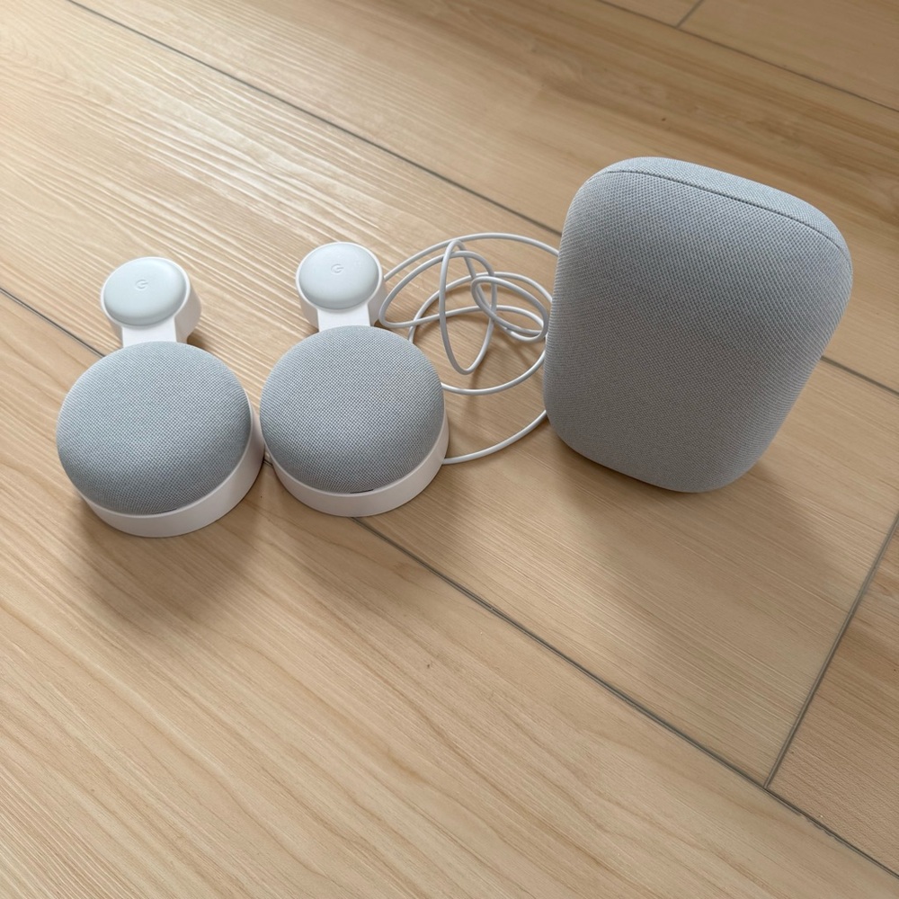 Google Nest Speakers